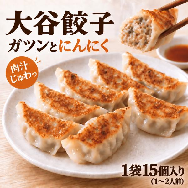 餃子 ぎょうざ ギョウザ 15個 冷凍餃子 大谷餃子 浜松餃子 中華 点心 惣菜 爆買