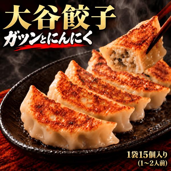 餃子 ぎょうざ ギョウザ 15個 冷凍餃子 大谷餃子 浜松餃子 中華 点心 惣菜 爆買