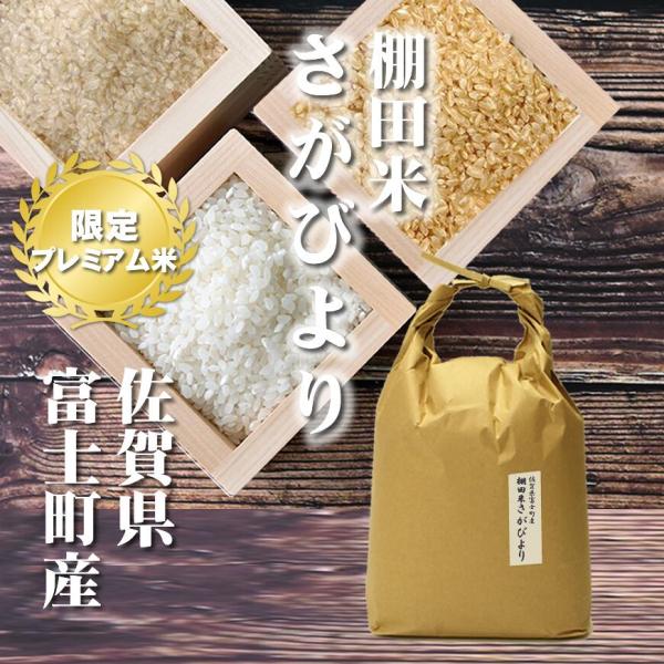 odorokitchen_kome002-5k odorokitchen_kome002-5k