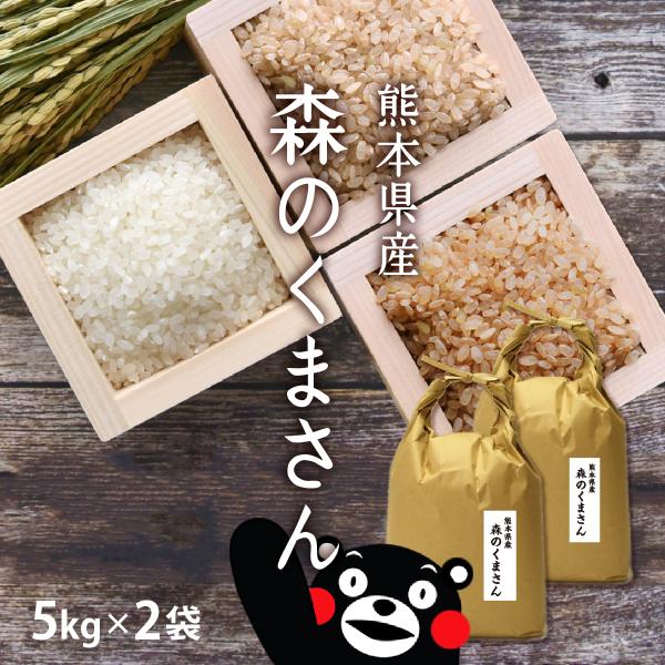 【クーポンで500円OFF！】米 10kg 森のくまさん 10kg 5kg×2袋 令和7年産/ お取り寄せグルメ 熊本県 父の日 ギフト お祝い