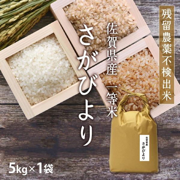 米 5kg さがびより 5kg×1袋 令和7年産 残留農薬不検出米 一等米/ お取り寄せグルメ 佐賀県 特A 父の日 ギフト お祝い