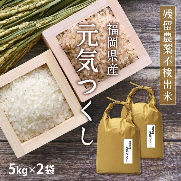 米 10kg 元気つくし 5kg×2袋 令和7年産 残留農薬不検出 一等米 / お取り寄せグルメ 特A 福岡県 父の日 ギフト お祝い