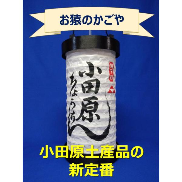 odwr-lantern-kouyou_olk-aa-1