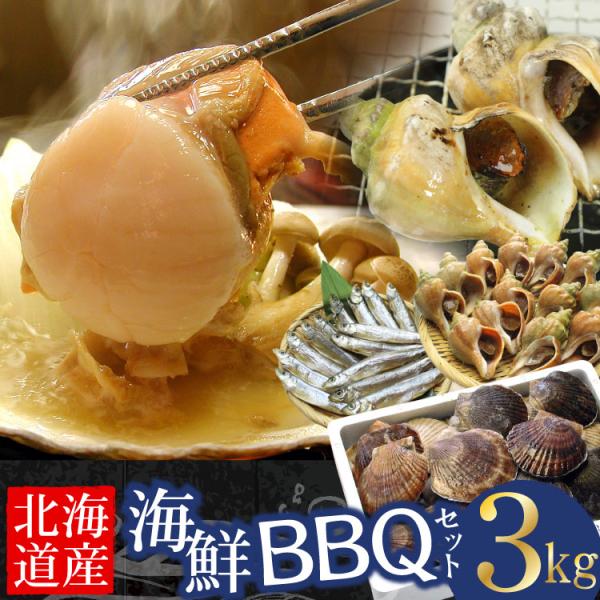 「オマケ付き」北海道産 海鮮バーベキュー セット 合計3kg（殻付ホタテ貝・青つぶ貝）冷凍 海鮮BBQセット 貝焼き ツブ 食材 ギフト 浜焼き 殻焼き キャンプ GW