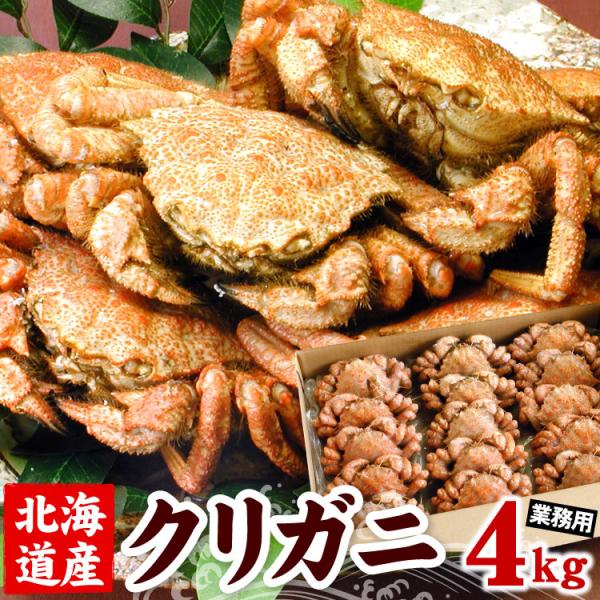 （ボイル冷凍品）蟹・海鮮のお取り寄せグルメに！こちらは「クリガニ」という蟹です。クリガニは毛蟹に比べ小さいのが特徴です。普段は市場流通しないとても面白いカニです。※産地で「まかない」で食べられています。茹で上げ冷凍しておりますので、自然解凍...