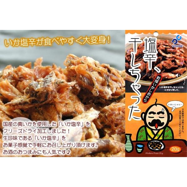 メール便 送料無料 塩辛 干しちゃった g 4袋セット 代引不可 着日指定不可 同梱不可 乾燥イカ塩辛珍味 乾燥いかしおから Dejapan Bid And Buy Japan With 0 Commission