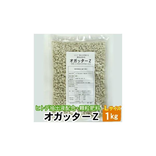 顆粒 オガッターZ Lサイズ 1kg　ヒトデ抽出液配合 顆粒肥料 有機JAS規格別表１適合資材 送料無料（沖縄宛は別途送料を加算）
