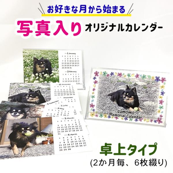 好きな月からはじまる 卓上 オリジナル カレンダー 母の日 敬老の日 2026年 プレゼント 送料無料 ペット グッズ 写真入り お絵かき水筒