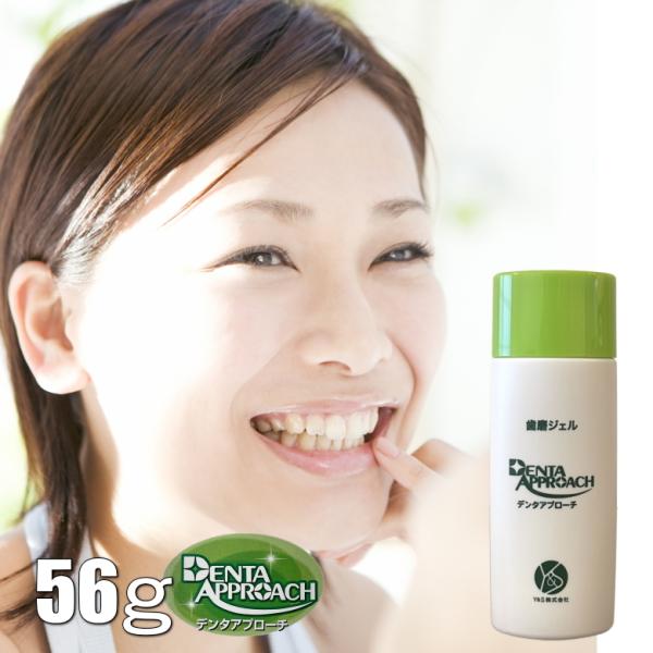 f^Av[`EM[TCY 56g denta approach WF   w M ACfBA ㎕ȑ K̔㗝X RE}L 얊