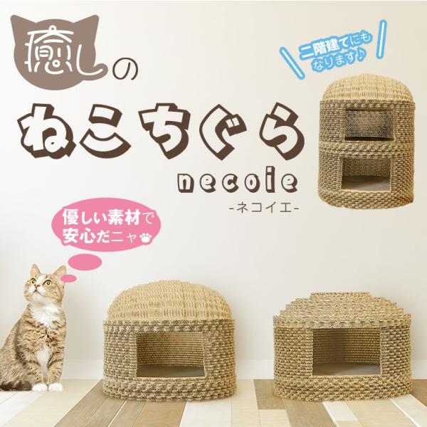 necoie lRCG o[`J[t z]^[t V 烋[ ˂ L LnEX xeXy[X _{[