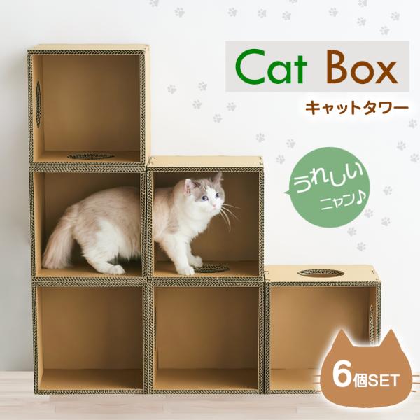 キャットボックス キャットタワー Cat Box 6個セット 猫 ネコ キャットボックス キャットタワー Cat Box 6個セット 猫 ネコ