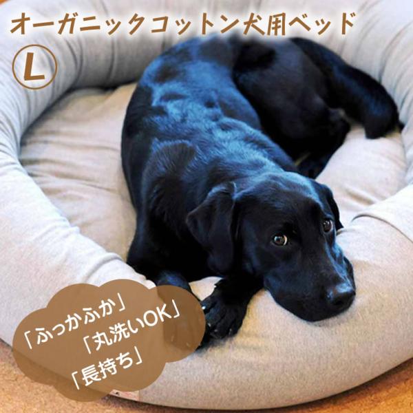 オーガニックコットン犬用ベッドLサイズ 丈夫で長持ちデロリアンズ