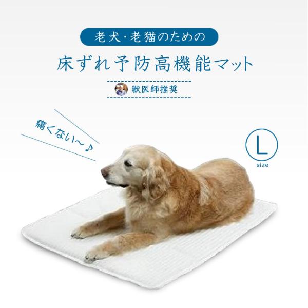 ホームナース Ｌ 中型犬〜小柄な大型犬サイズ 介護マット 床ずれ