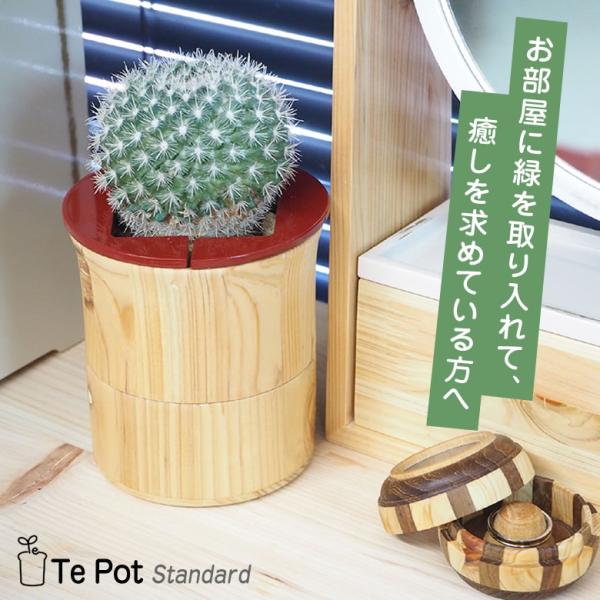Te Pot Standard テポット スタンダード 室内 プランター おしゃれ 手のひらサイズ 木製 プランター鉢 根来塗 紀州漆器 世界遺産 熊野古道 檜 送料無料