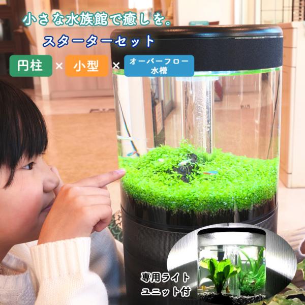 中型オーバーフロー水槽 ライトカバー付き オーバーフロー水槽 中型 LED照明付き