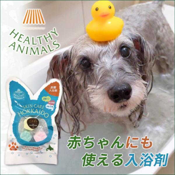 V 畆 уPA Y_ oX| 31܁@ L l Ԃ wV[Aj}Y healthy animals ԃG]}cz