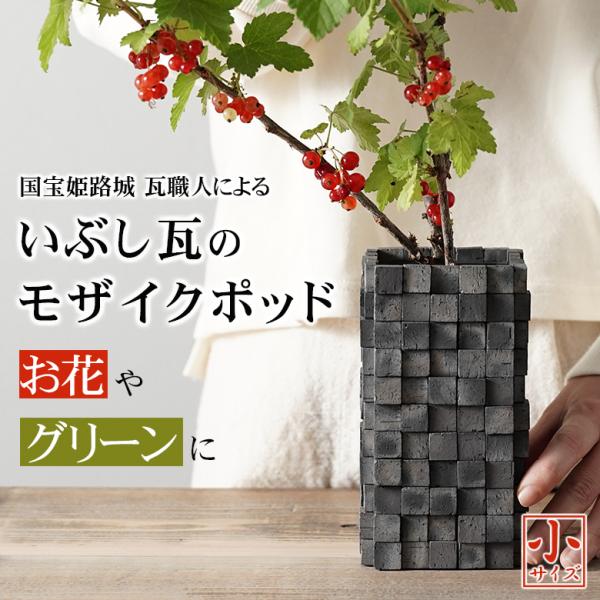 Ԃ t[x[X ԕr Jo[  }  EYPH̗q CeA ARARE POD  |bh Ԋ u Ԃ { |bg