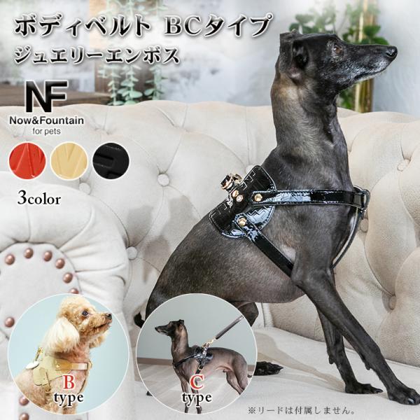 Now&amp;Fountain {fBxg B^Cv C^Cv  WG[G{X {fB[xg On[lX ^ ^   U[ {v p {