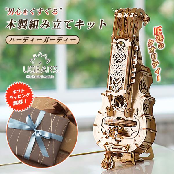 ハーディ・ガーディ hurdy gurdy ヨーロッパ　手作り古楽器 民族楽器 ハーディ・ガーディ hurdy gurdy ヨーロッパ 手作り古楽器 民族