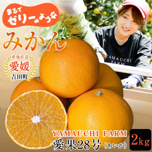 愛果28号 2kg A品 贈答品質 愛媛県産「あいか」愛媛果試28号 YAMAUCHI