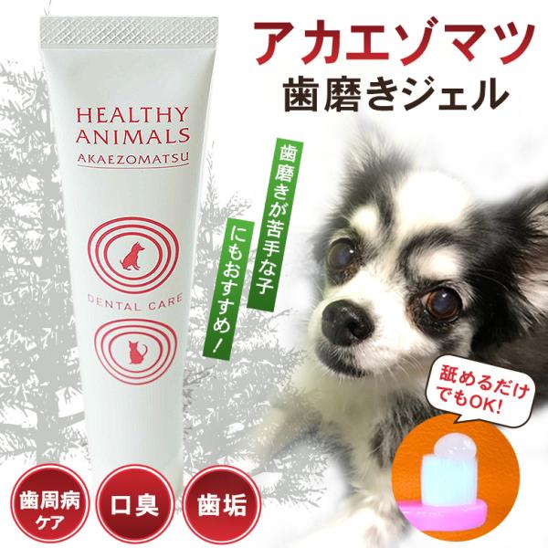 アカエゾマツ歯磨きジェル 犬 猫 口腔ケア 歯周病ケア 歯みがき 歯磨き