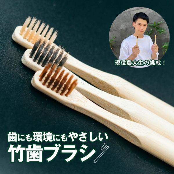 竹歯ブラシ 竹の歯ブラシ 竹ハブラシ 竹製歯ブラシ 超軽量 歯みがき 竹