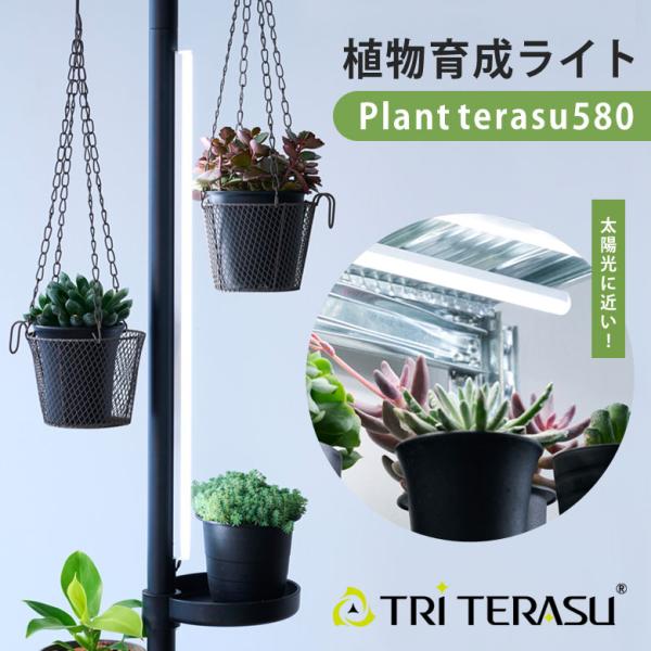 offer1999_taku0838