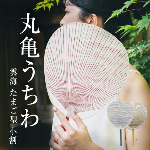 丸亀うちわ うちわ屋 涼 雲海 たまご型 小割 うちわ 団扇 日本製 おしゃれ きれい 美しい 透明感 伝統的工芸品 無地 骨 男性用 女性用 男女兼用 ギフト