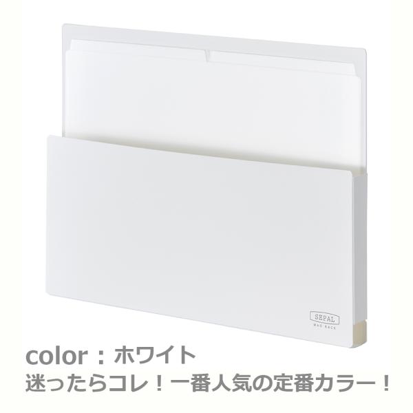 office31_10010108_3_d_20241125151514