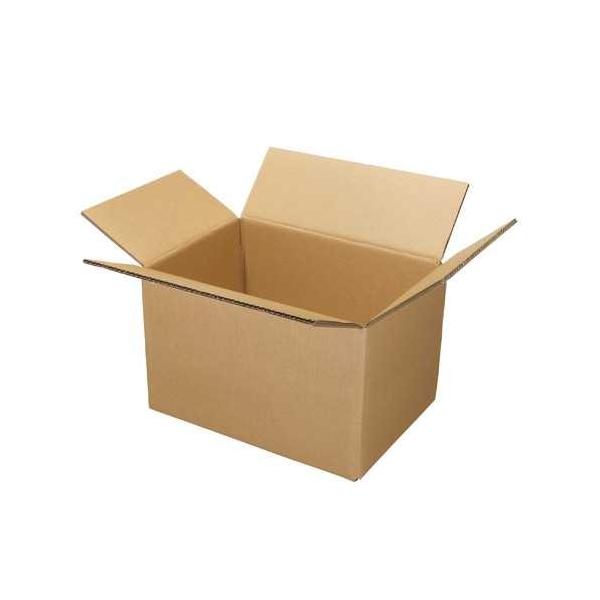 ����� �����s�� W�t���[�g�_���{�[�����@��10���@B239J-L�@�W���C���e�b�N�X