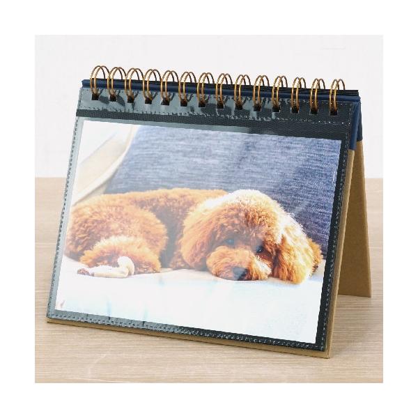 office31_30010001_1_d_20240830175506