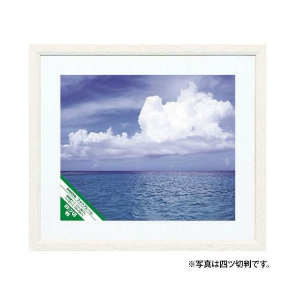 ؐʐ^z(ی^EzCg) ChZbؔ t-SW-223@iJoV