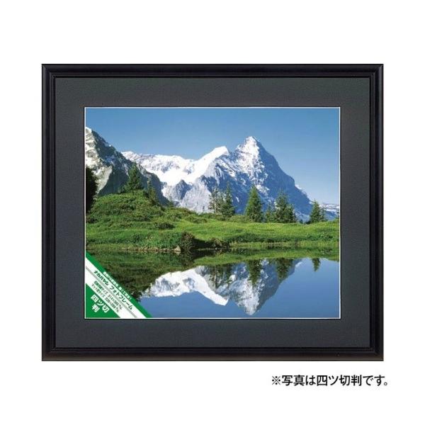 yʃA~ʐ^z(ی^)[PSgp] ChZbؔ t-SA-213-D ubN@iJoV