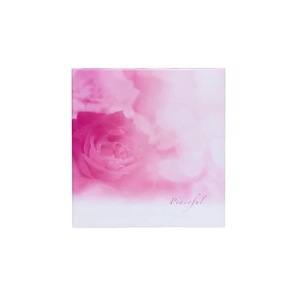 Ao LTCY tGAo vR[g䎆i) 10    LPF-1005 iJoV