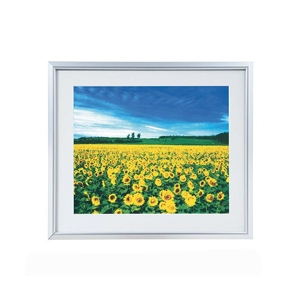 tHgt[ z yʃA~ ʐ^ziی^) ChZcؔiVo[) t-SA-223-S iJoV