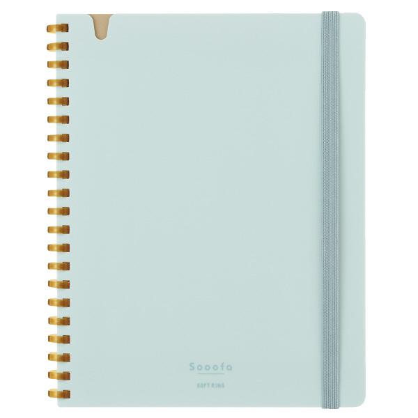 \tgOX[t@aUό`WO X-SV748S4-LB RN [֑Ή