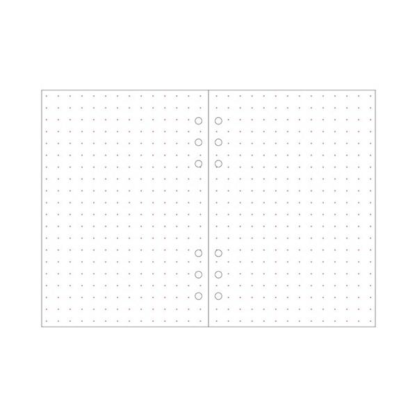 [֑Ή@VXe蒠oC_[ptB@tB@A5@hbg@100y[W@FZ@ODR-RFL02-DS@}[NX@q@킢