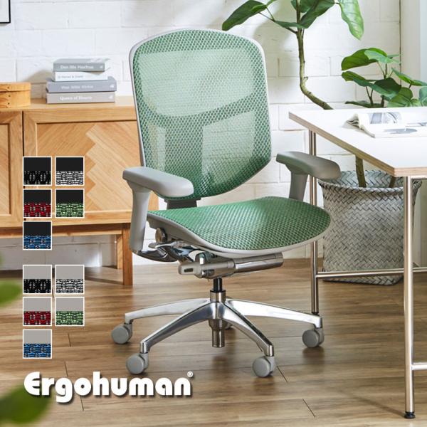 【早い者勝ち】Ergohuman (エルゴヒューマン) メッシュチェア ☆美品☆ エルゴヒューマン（Ergohuman） エンジョイ2 Ergohuman ENJOY2 ロー
