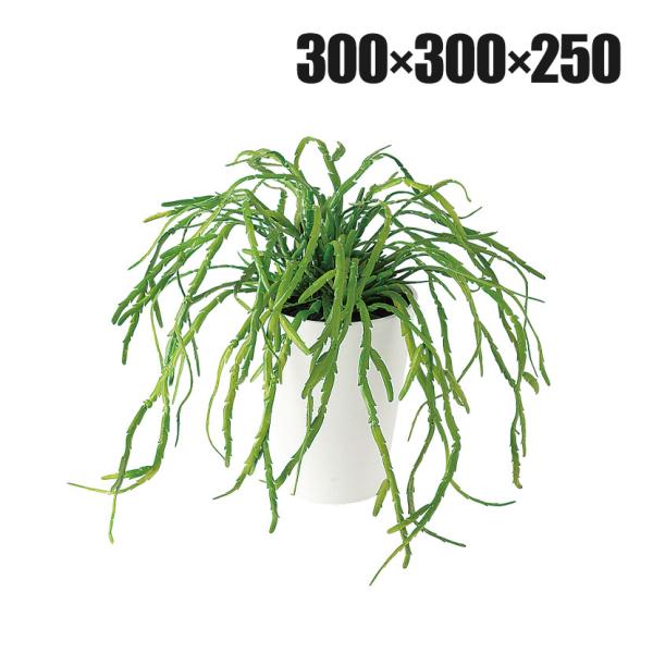 観葉植物 人工樹木 フェイクグリーン 造花 リプサリス 高さ250mm 鉢:SA-4(WH) 卓上