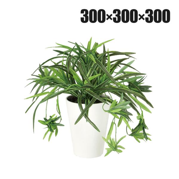 観葉植物 人工樹木 フェイクグリーン 造花 オリヅルラン G 高さ300mm 鉢:SA-4(WH) 卓上