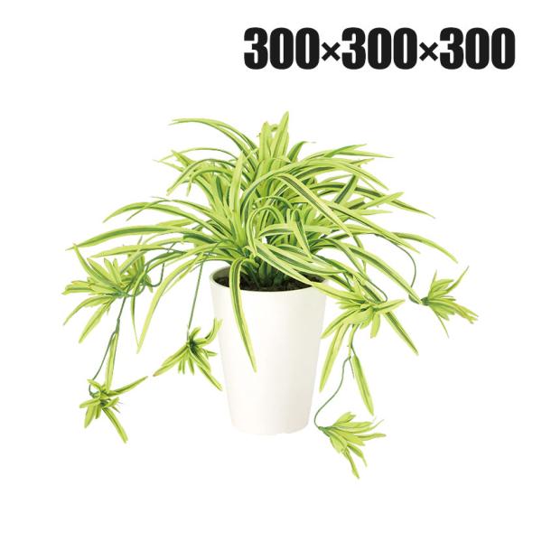 観葉植物 人工樹木 フェイクグリーン 造花 オリヅルラン G/Y 高さ300mm 鉢:SA-4(WH) 卓上