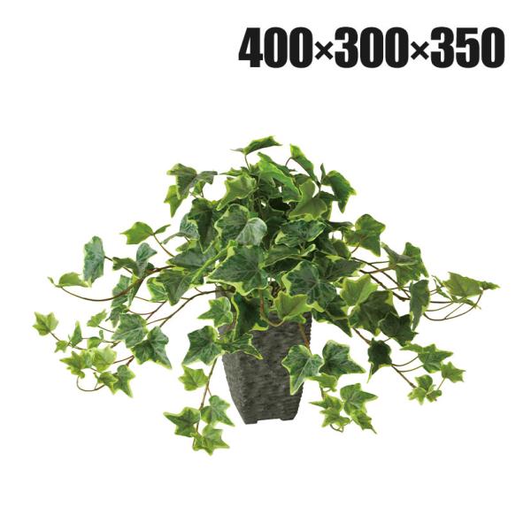 観葉植物 人工樹木 フェイクグリーン 造花 グレイシアアイビー 高さ350mm 鉢:Pスクエア(BK) 卓上