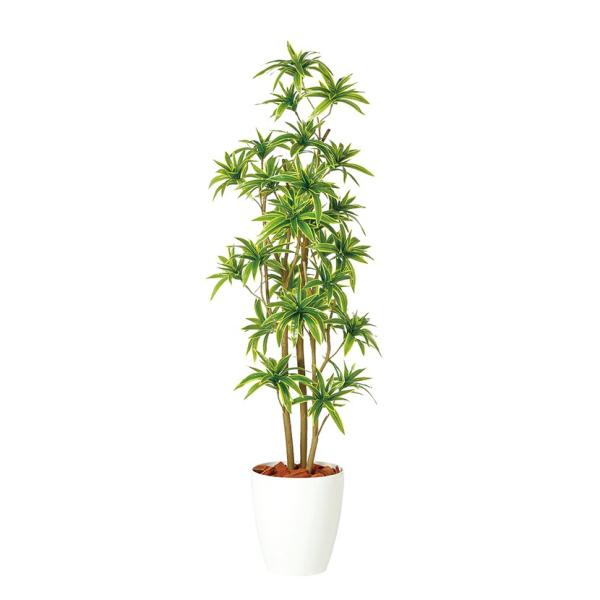 観葉植物 フェイクグリーン 人工 樹木 ソング・オブ・インディア FST