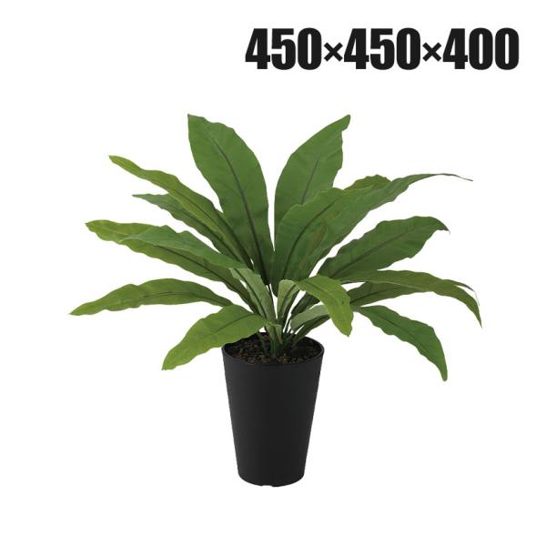 観葉植物 人工樹木 フェイクグリーン 造花 タニワタリ 高さ400mm 鉢:SA-4(BK) 卓上