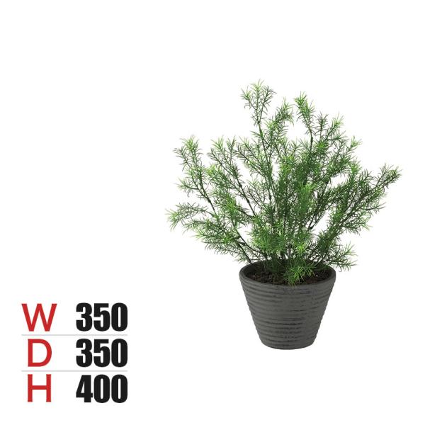 観葉植物 人工樹木 フェイクグリーン 造花 スプレンゲリー 高さ400mm 鉢:PラウンドS(BK) 卓上