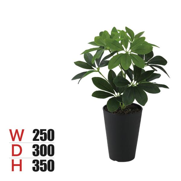 観葉植物 人工樹木 フェイクグリーン 造花 グリーンカポック Sサイズ 高さ350mm 鉢:SA-4(BK) 卓上