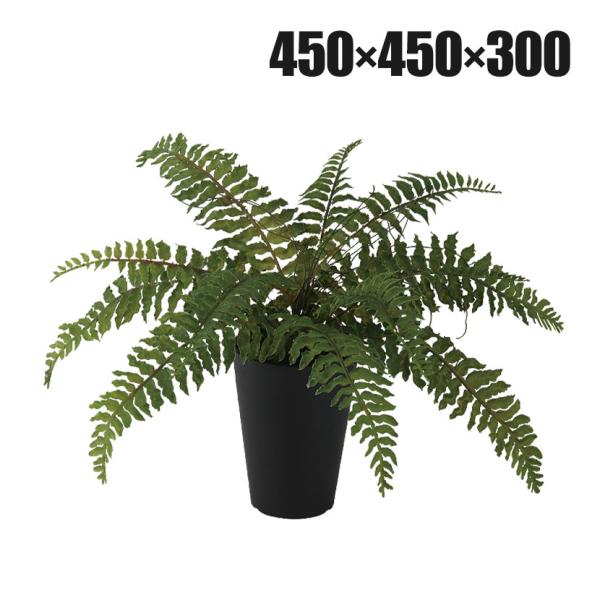 観葉植物 人工樹木 フェイクグリーン 造花 ボストンファン 高さ300mm 鉢:SA-4(BK) 卓上