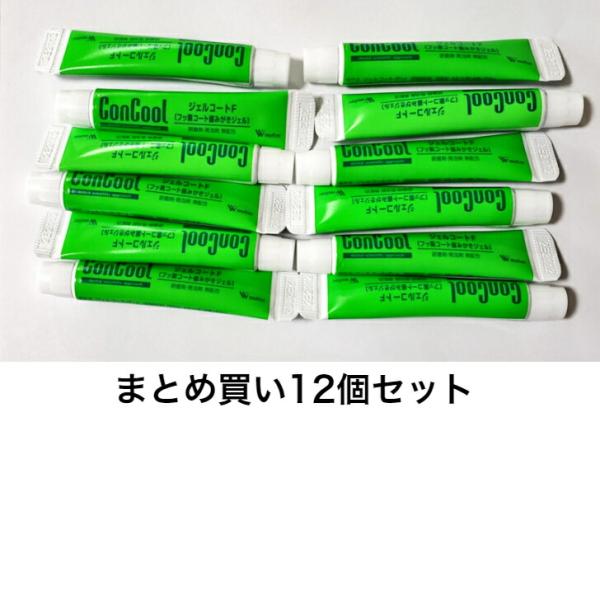 【お試しサンプル12個セット】試供品 ウェルテック ジェルコートF　5g×12本 　研磨剤・発泡剤無配合