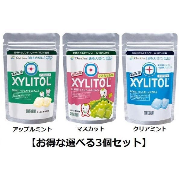 【選べる3個セット】ロッテキシリトールガム　ラミチャック 21粒（歯科専用・オーラルケア）「アップルミント・マスカット・クリアミント」