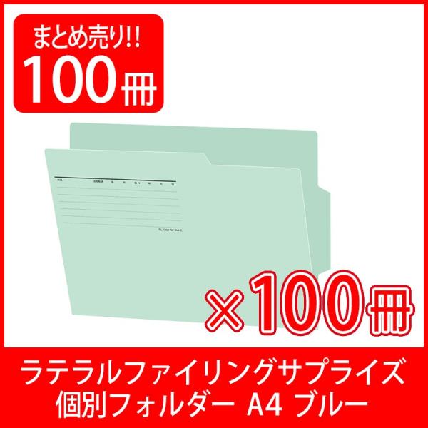 vX(PLUS) ʃtH_[ et@COTvCY A4 u[ 100 FL-061RIF 87-465